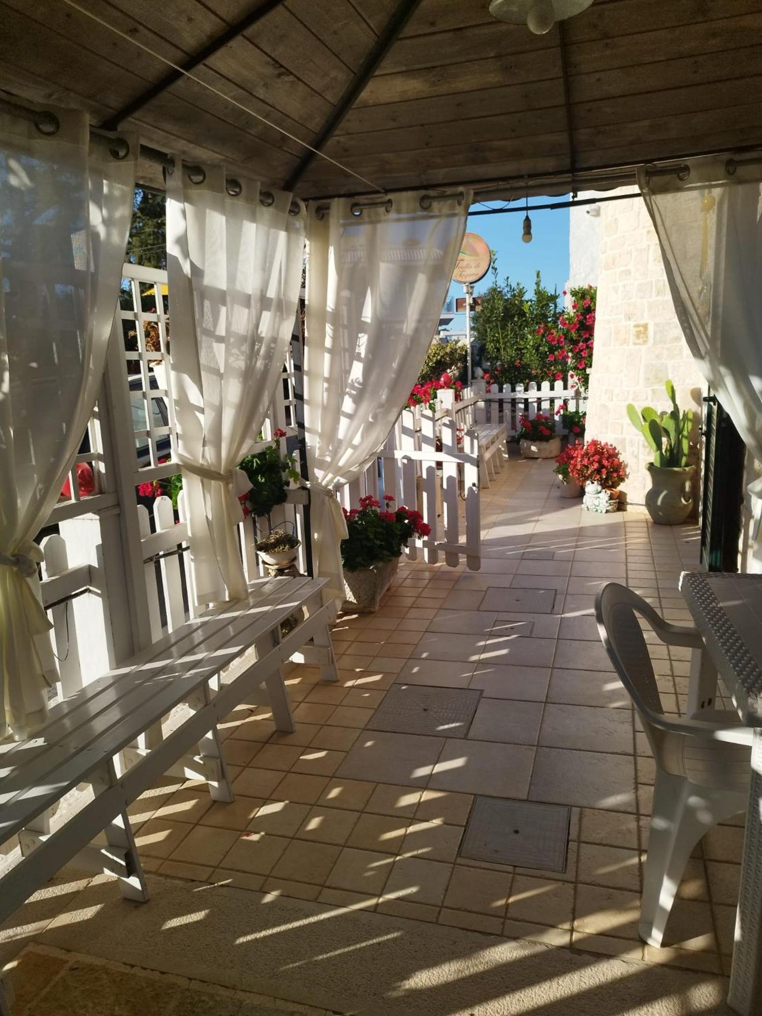 Photo 49