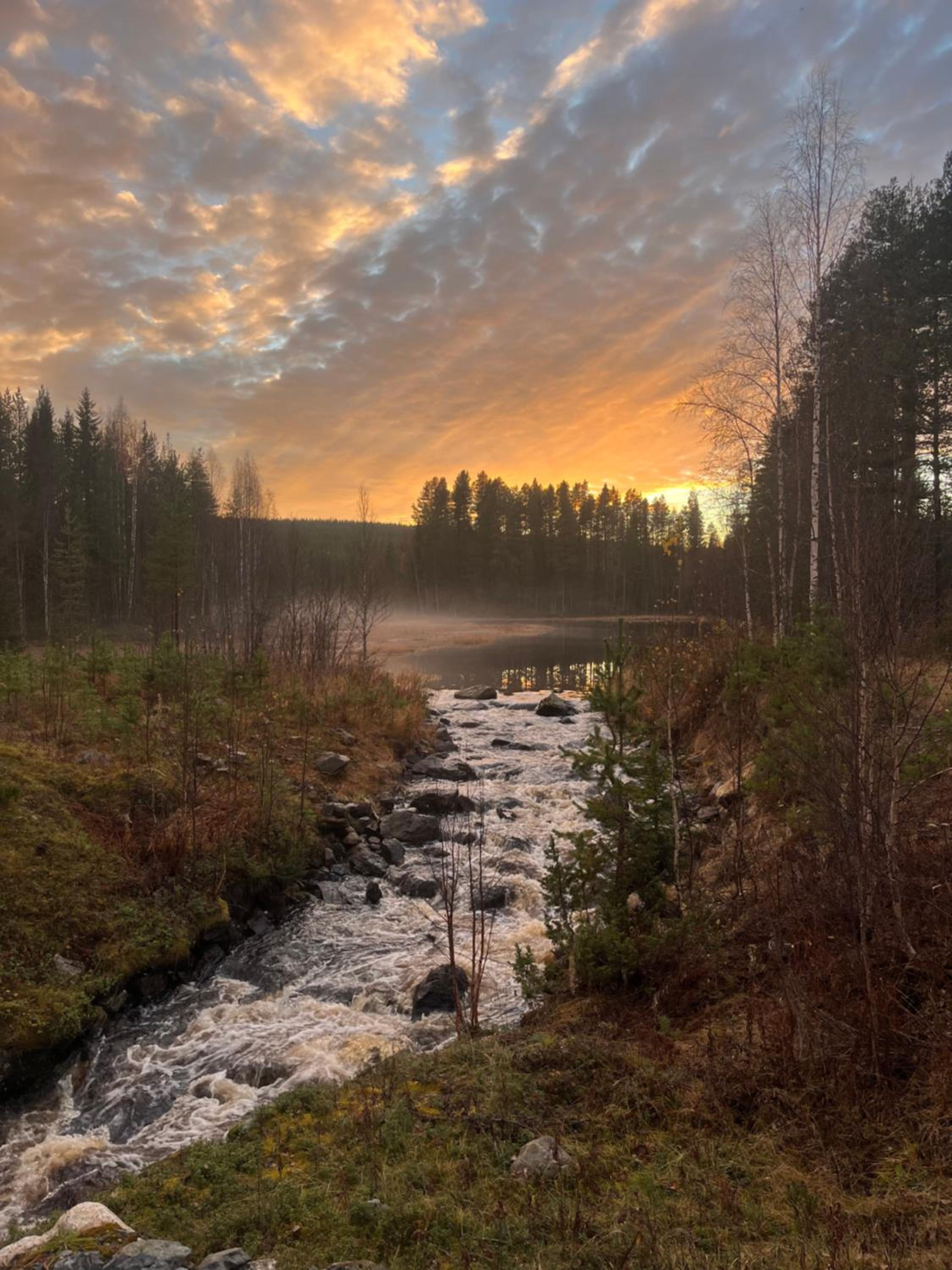 Kriberg Wild Lappland