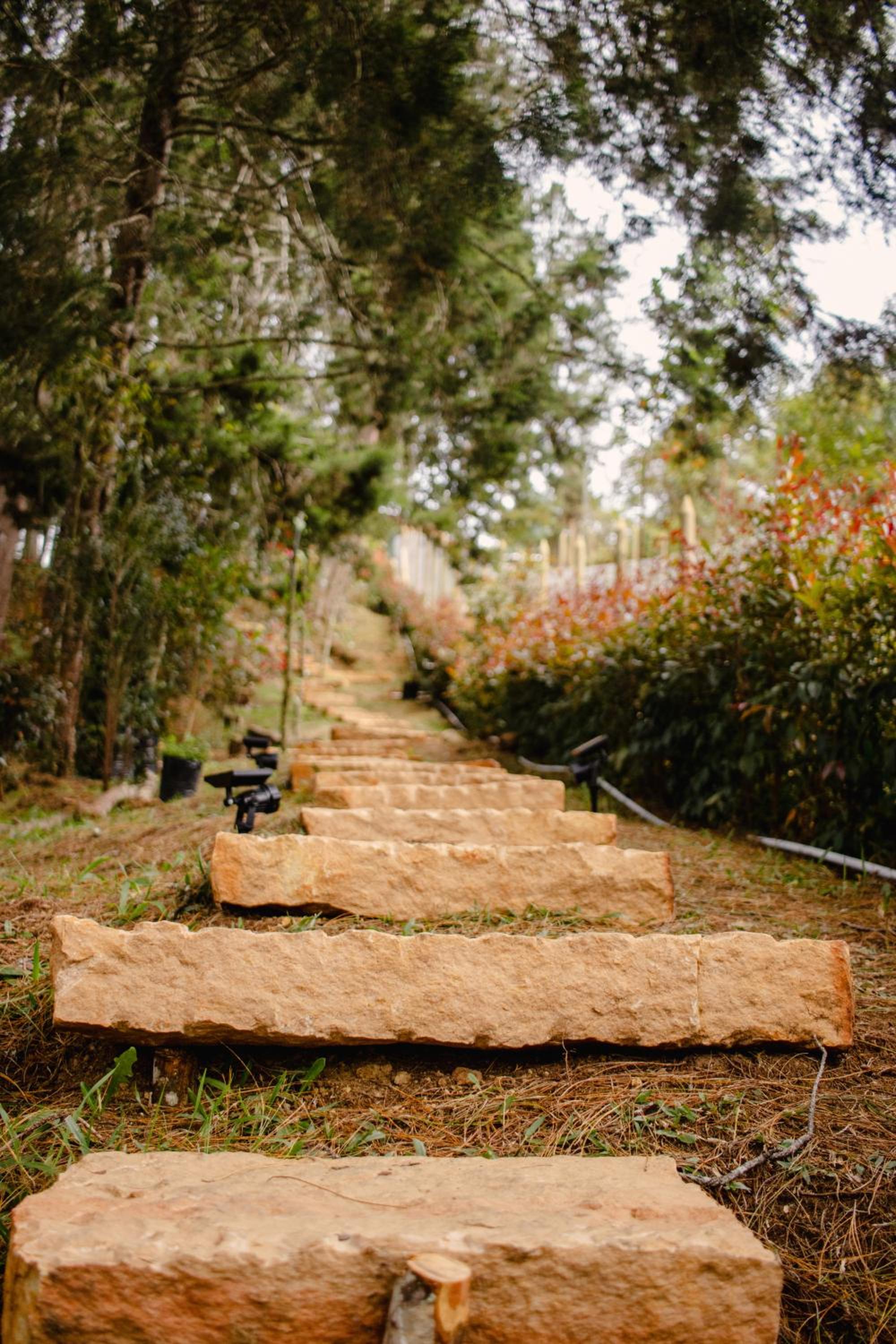 Cabaña Aventurina- La pascana Ecolodge Entorno natural excepcional, conexión con la naturaleza y avistamiento de aves, Ubicado a 3km del metrocable y Parqu