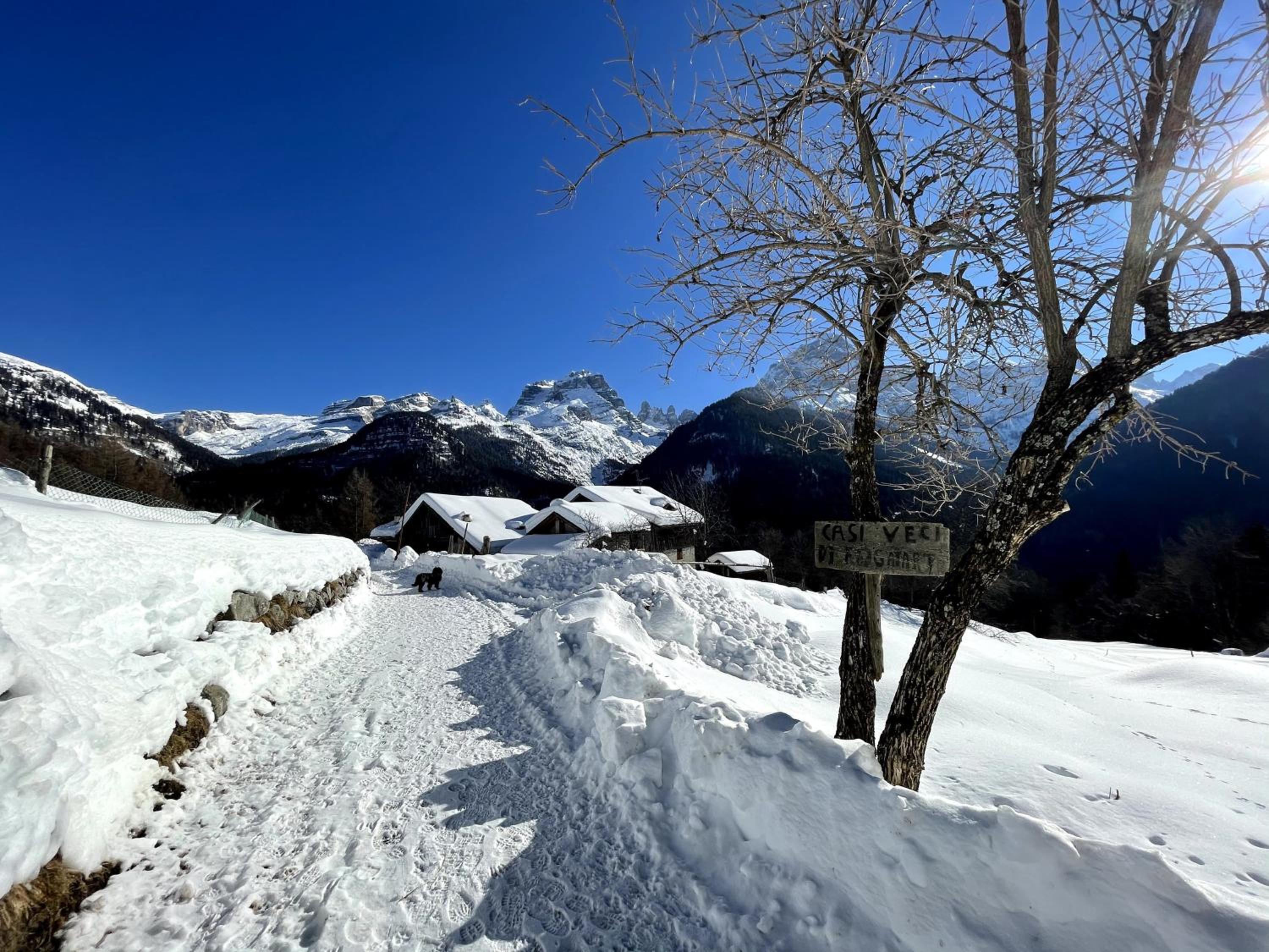 Villa Alpina Campiglio view 2