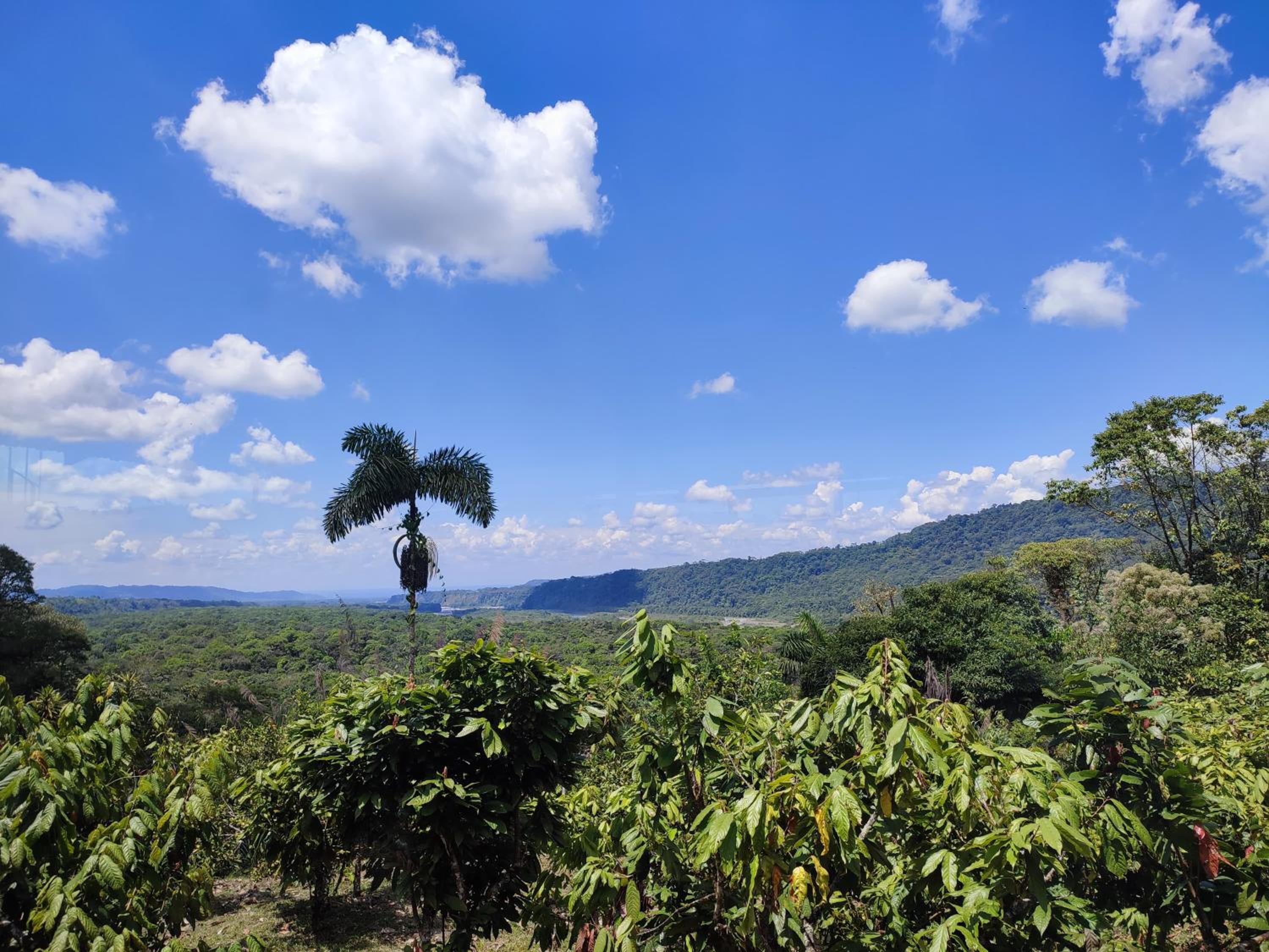 La cabaña