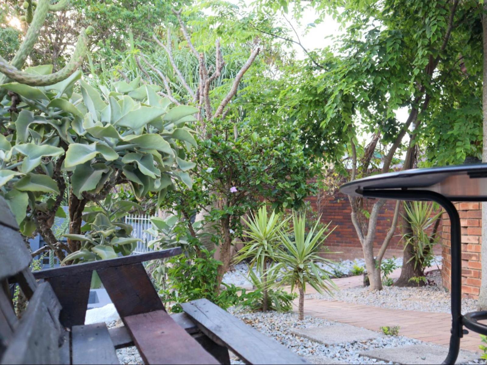 Casa Palmeira view 2