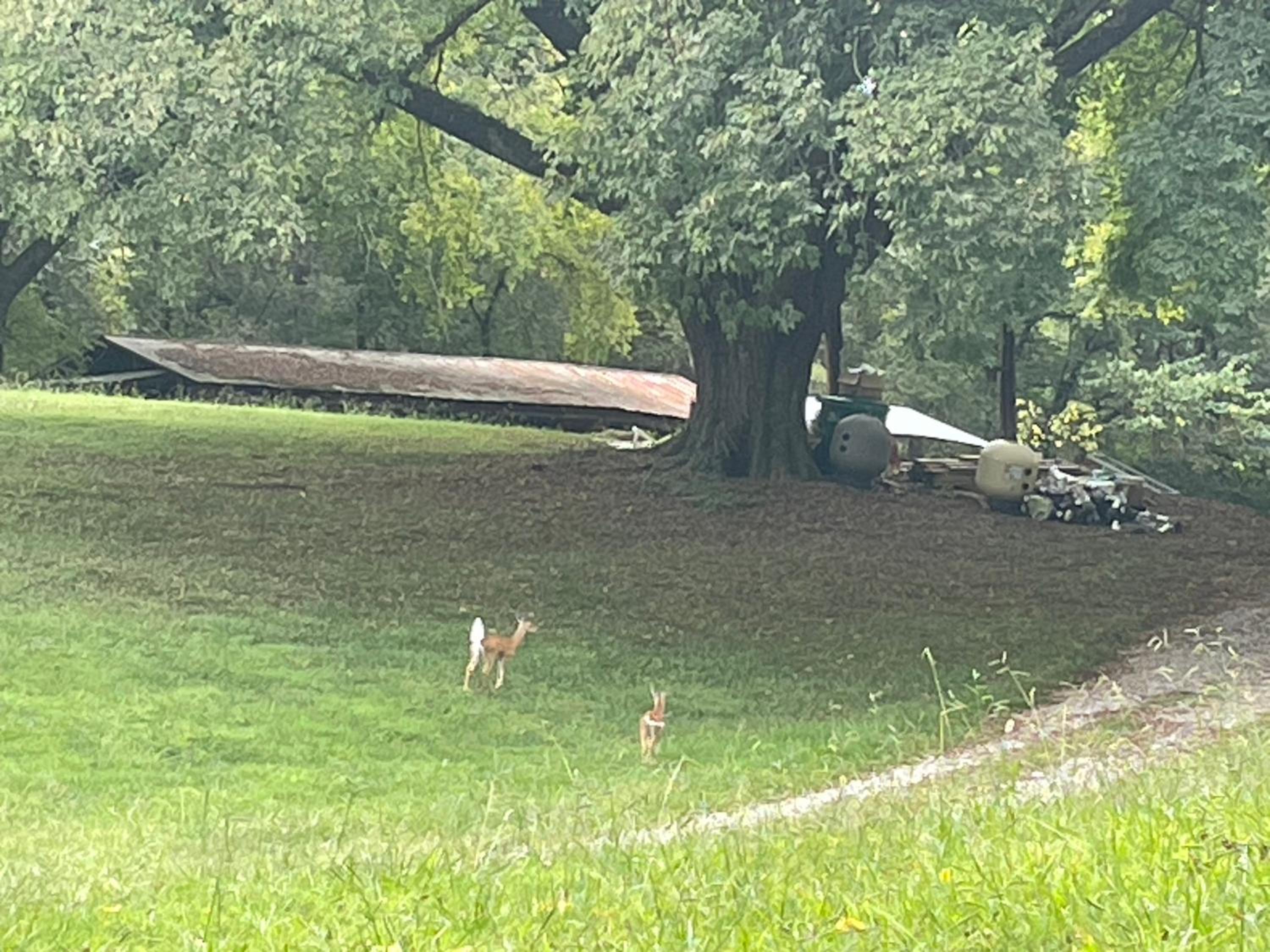 Historic Anderson Farmhouse view 3