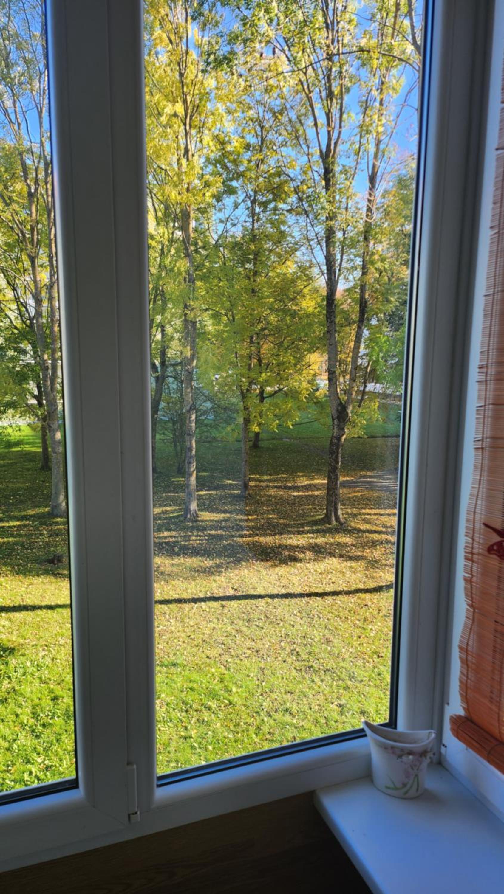 Ramybės oazė view 4
