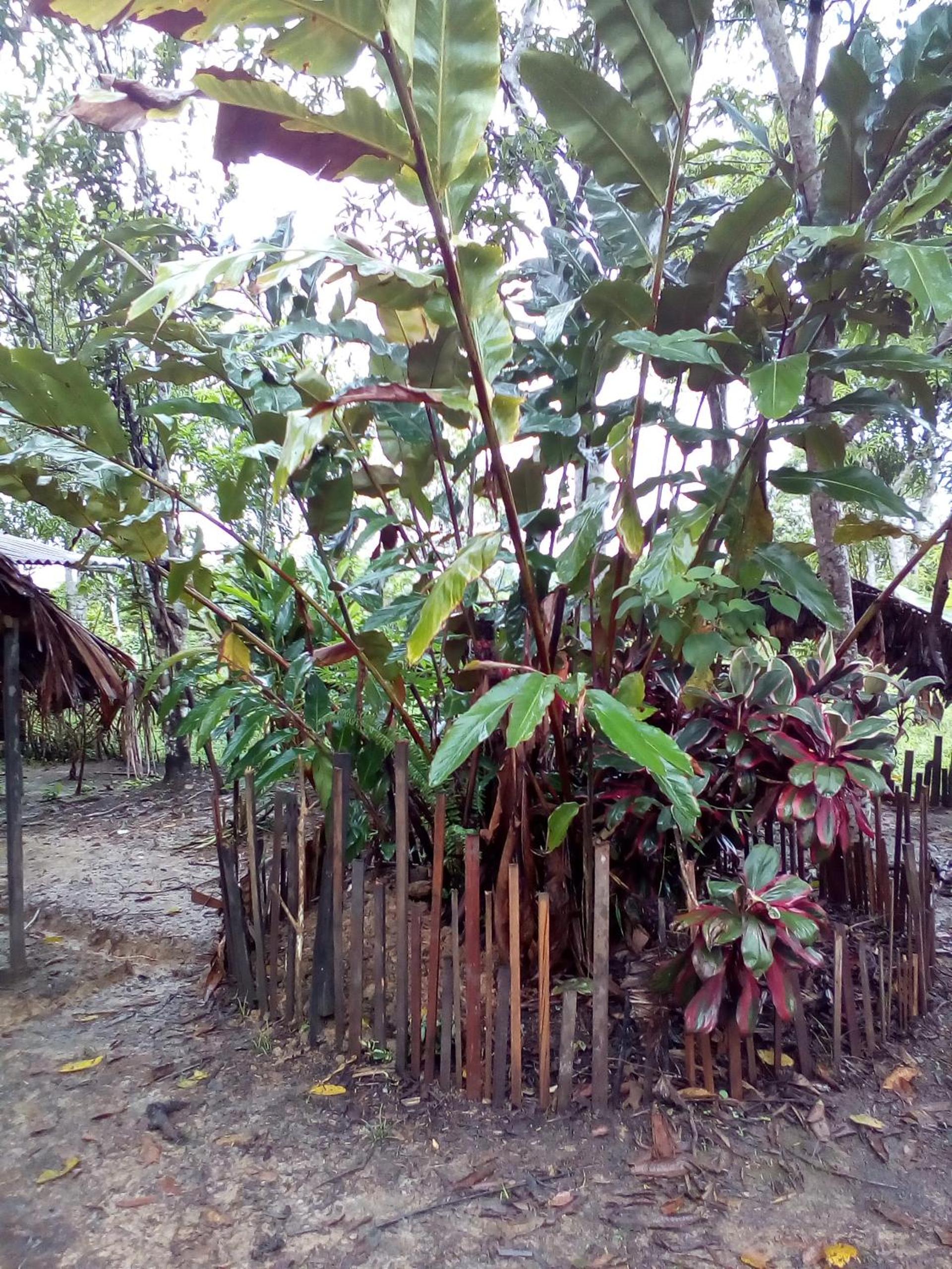 Photo 43