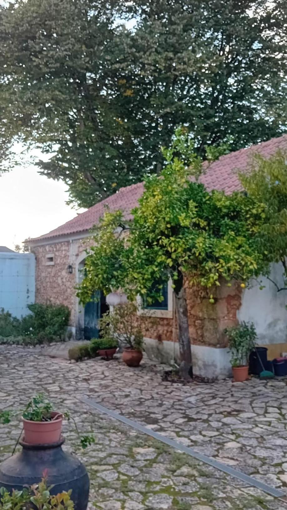 Casa da Tília