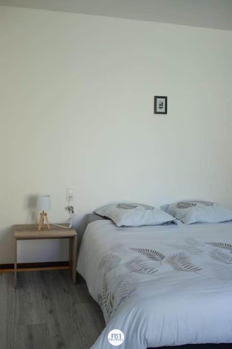 appartement 1ch mons centre