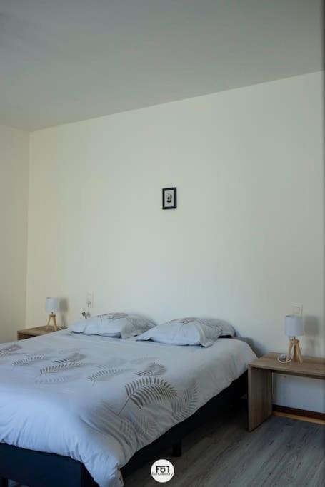 appartement 1ch mons centre