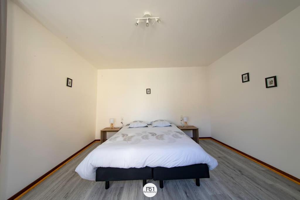 appartement 1ch mons centre