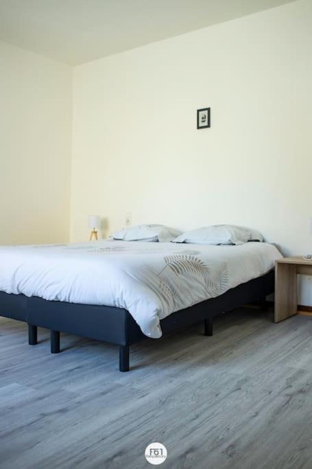 appartement 1ch mons centre