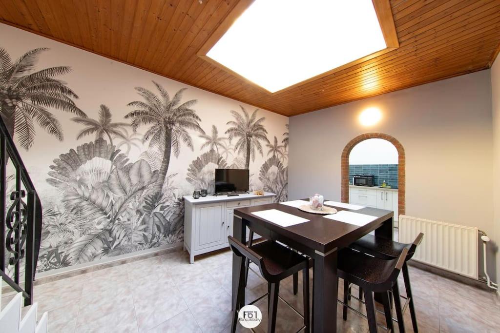 appartement 1ch mons centre