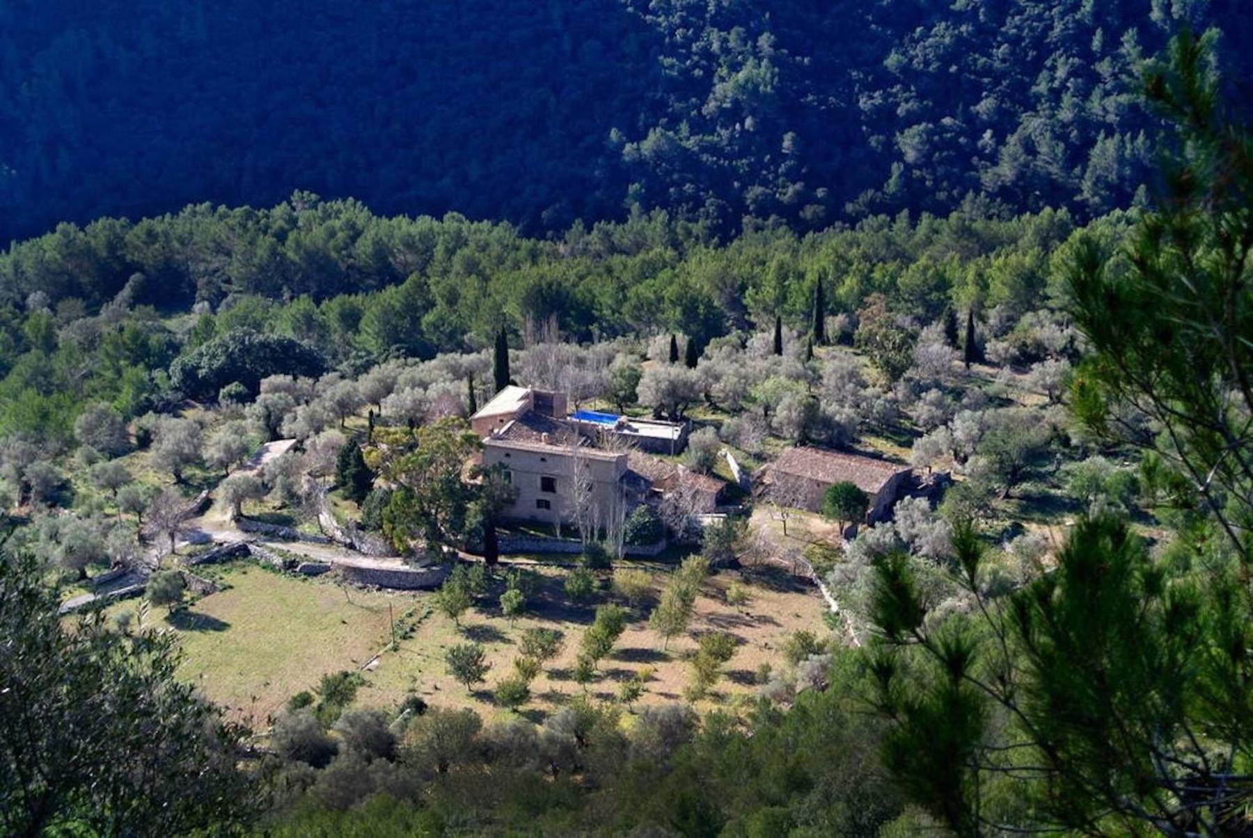 Sabaduia
