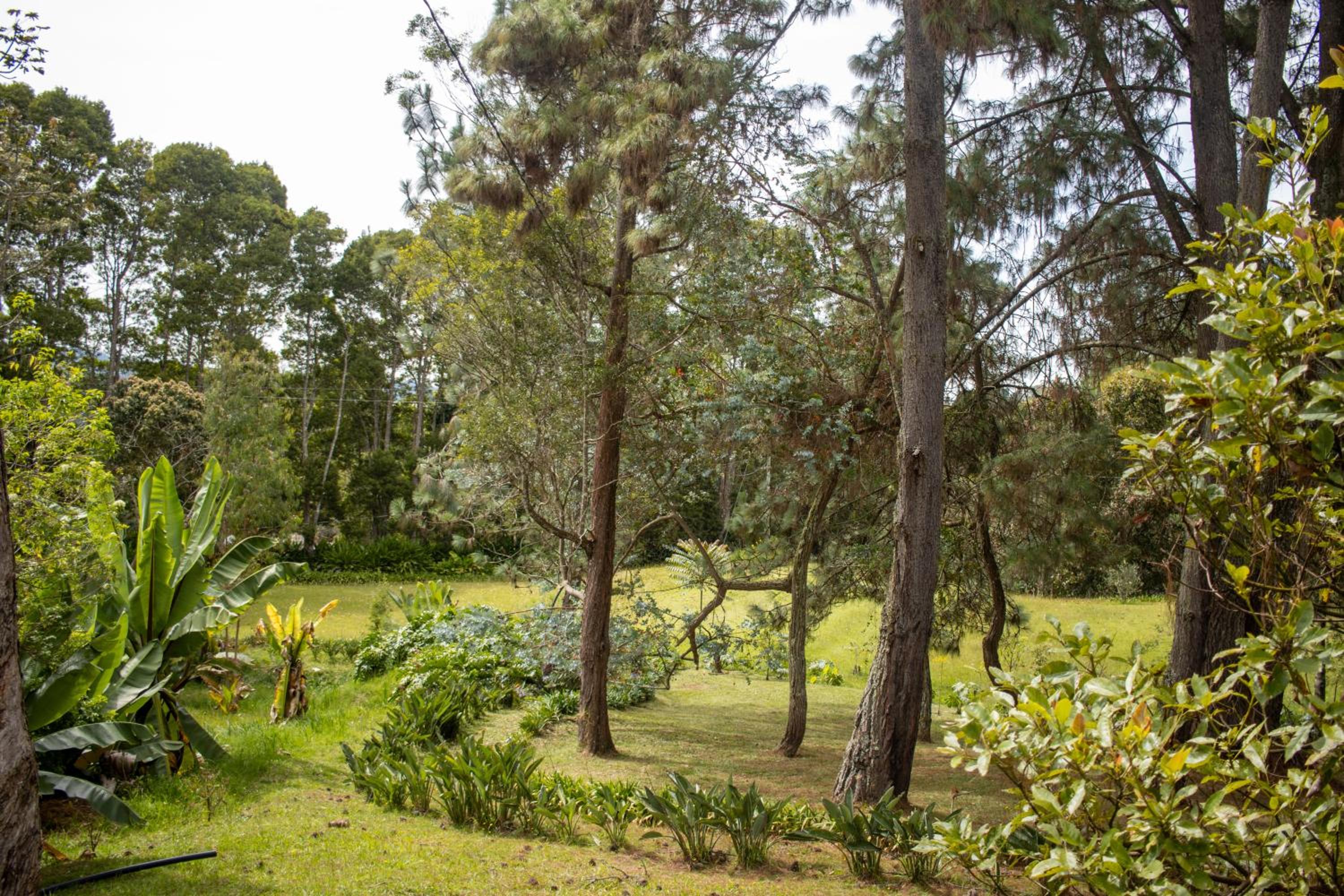 La Pascana Ecolodge APTO BARRANQUERO frente al parque Arví Entorno natural excepcional, reserva natural, áreas protegidas, conexión con la naturaleza y avi