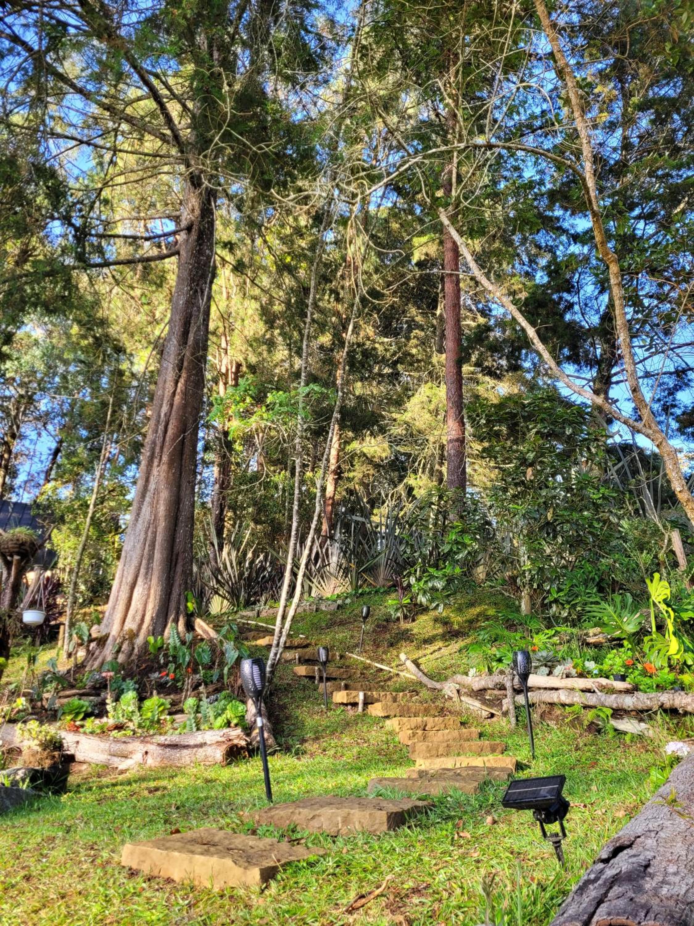 La Pascana Ecolodge APTO BARRANQUERO frente al parque Arví Entorno natural excepcional, reserva natural, áreas protegidas, conexión con la naturaleza y avi
