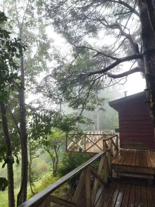 Cabaña con vista al Lago Colico