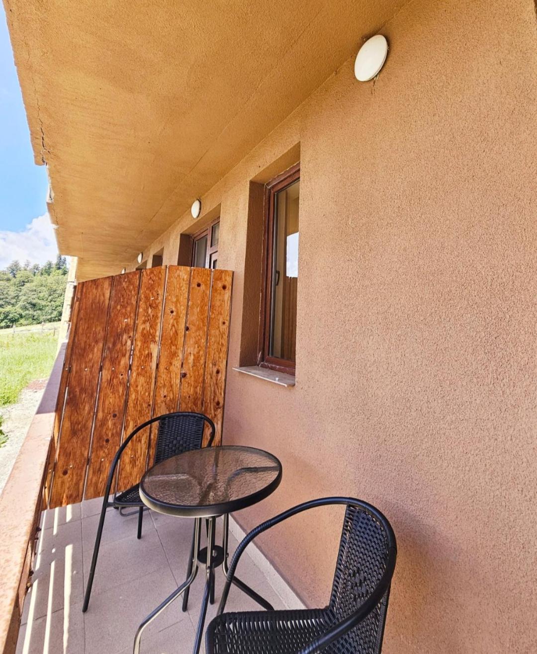 Apartment in Bakuriani near Didveli view 3