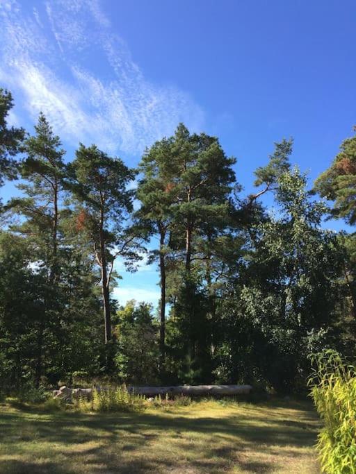 Enjoy nature in silence