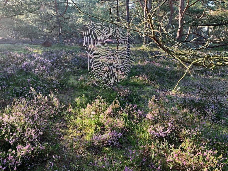 Enjoy nature in silence, photo 24