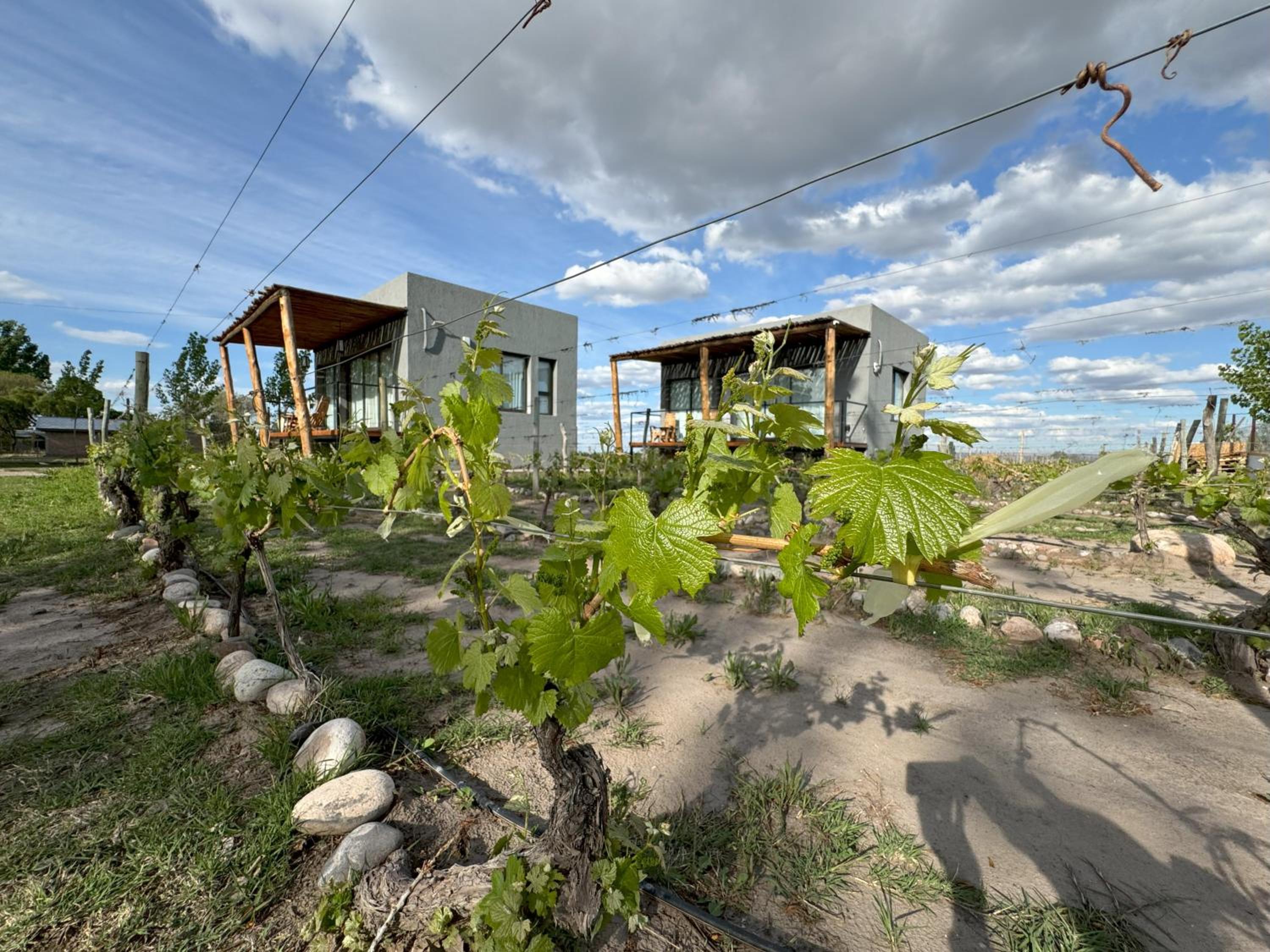 La Viñita Wine Lodge
