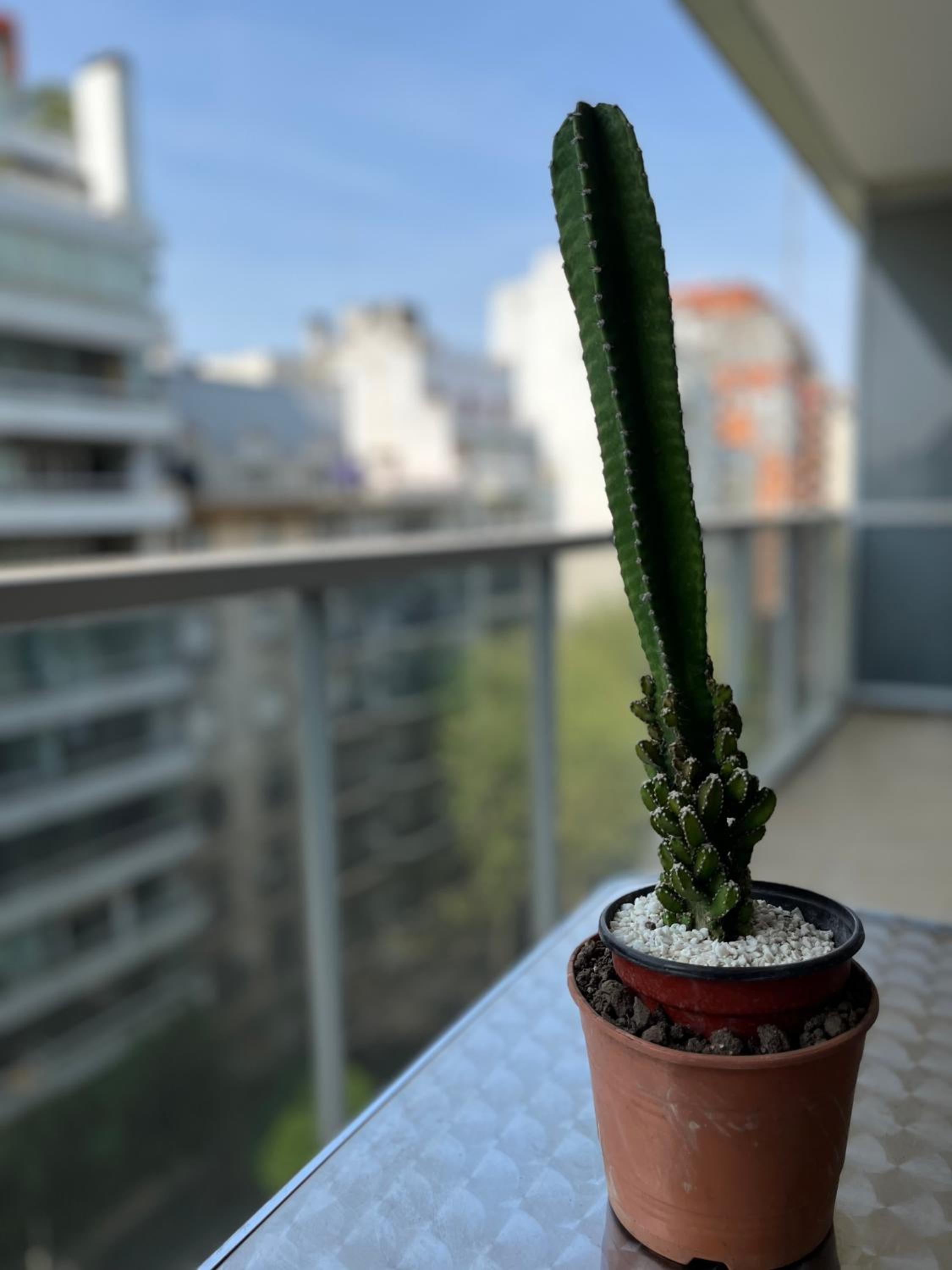 Departamento Recoleta III