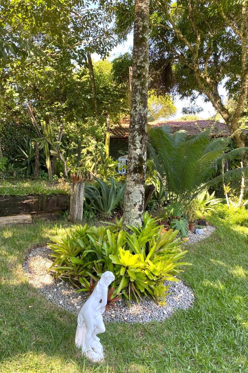 Photo 45