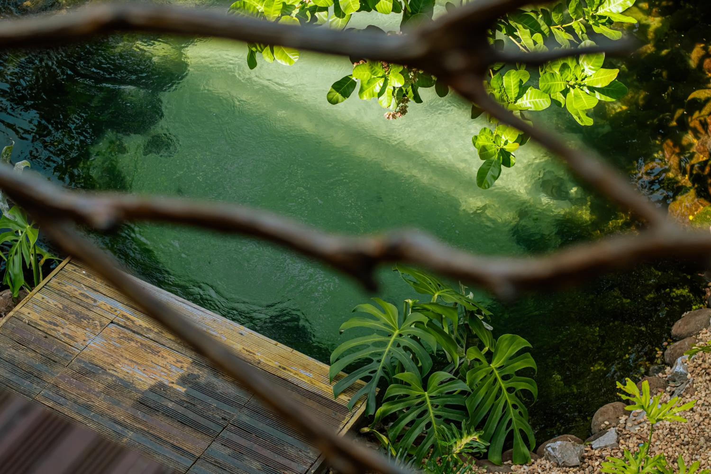 Casa do Lago em Alter do Chão