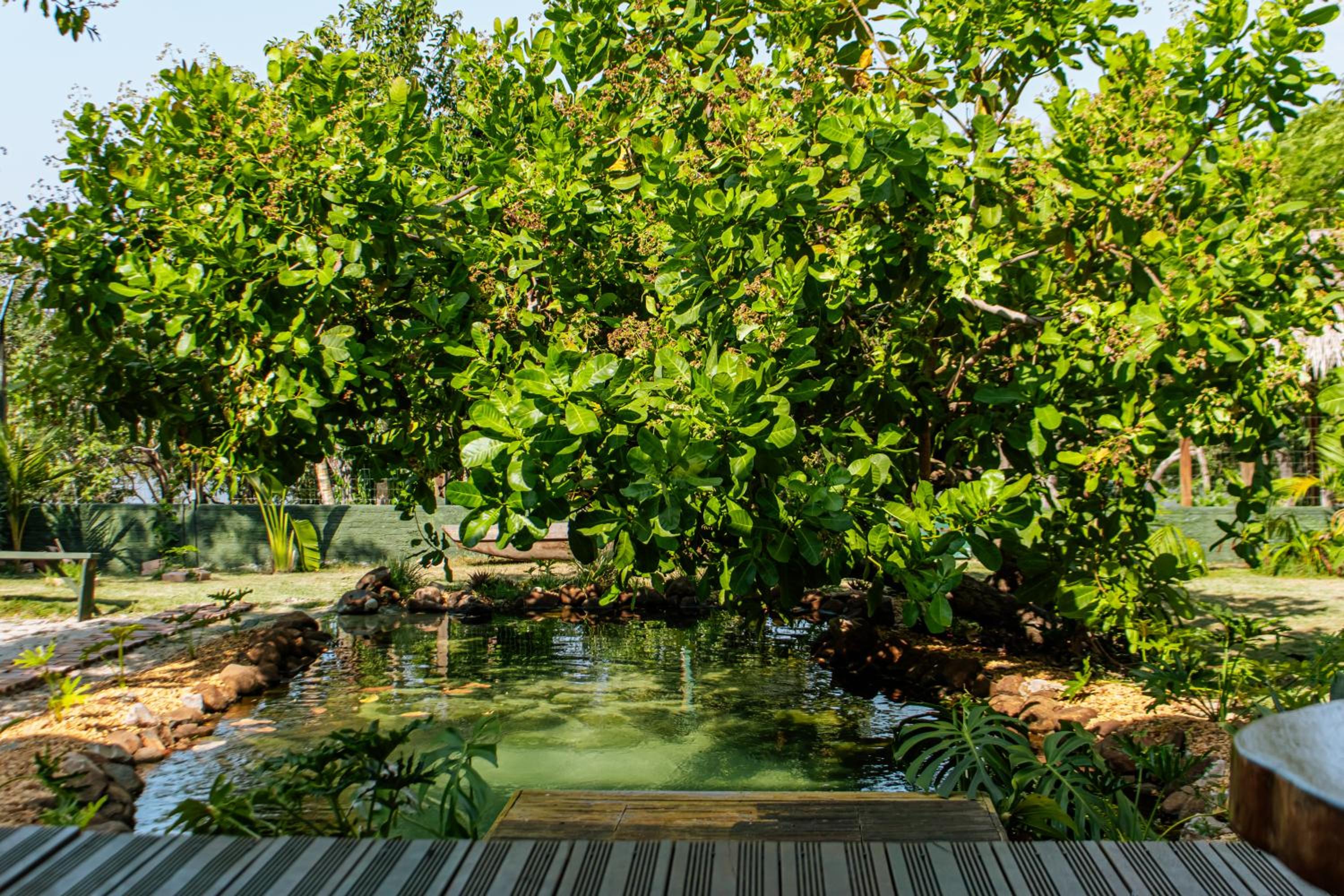 Casa do Lago em Alter do Chão
