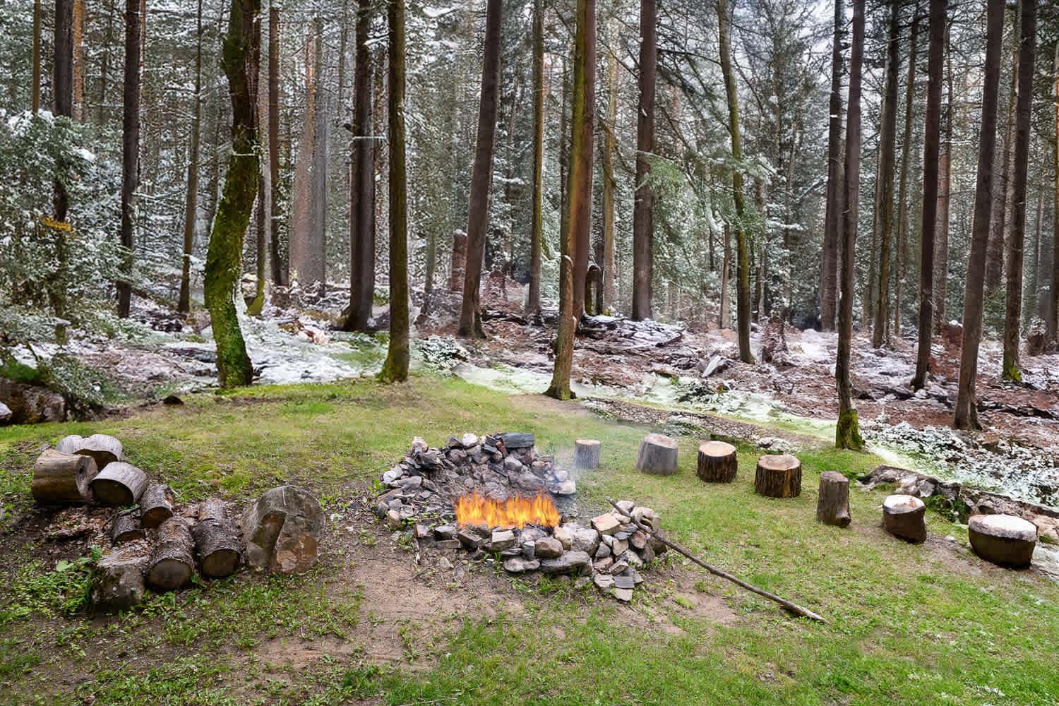 Cozy Cabin in the Forest w BBQ Firepit and More