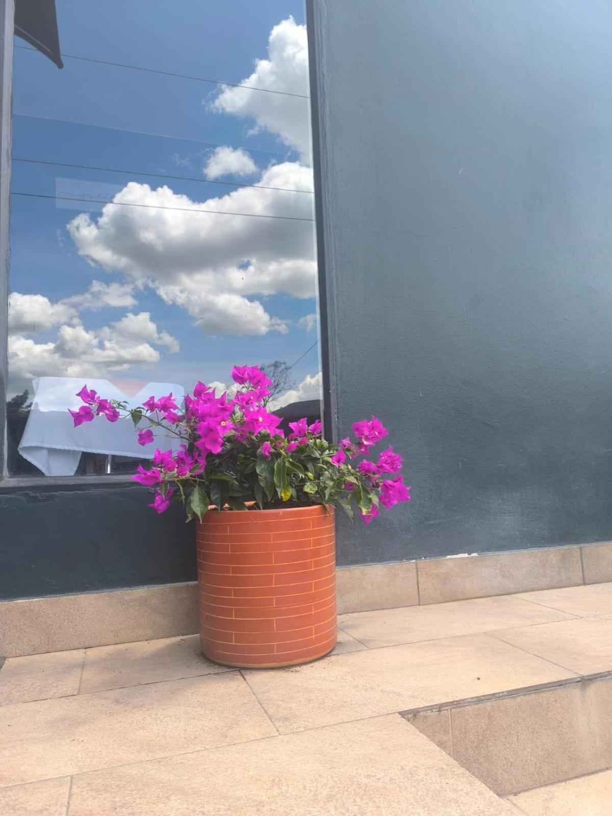 Suite Campestre Sauna Jacuzzi