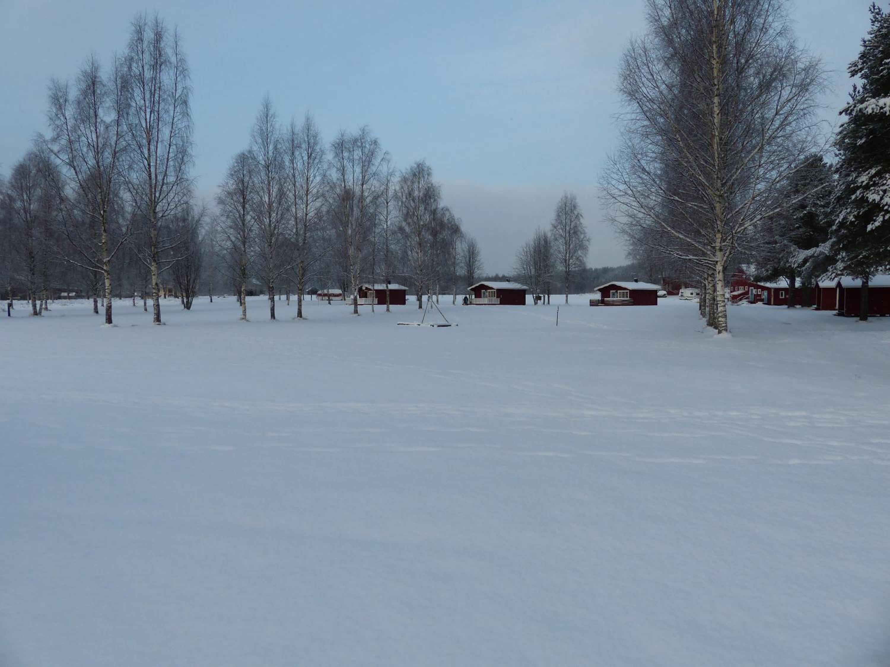 Photo 40