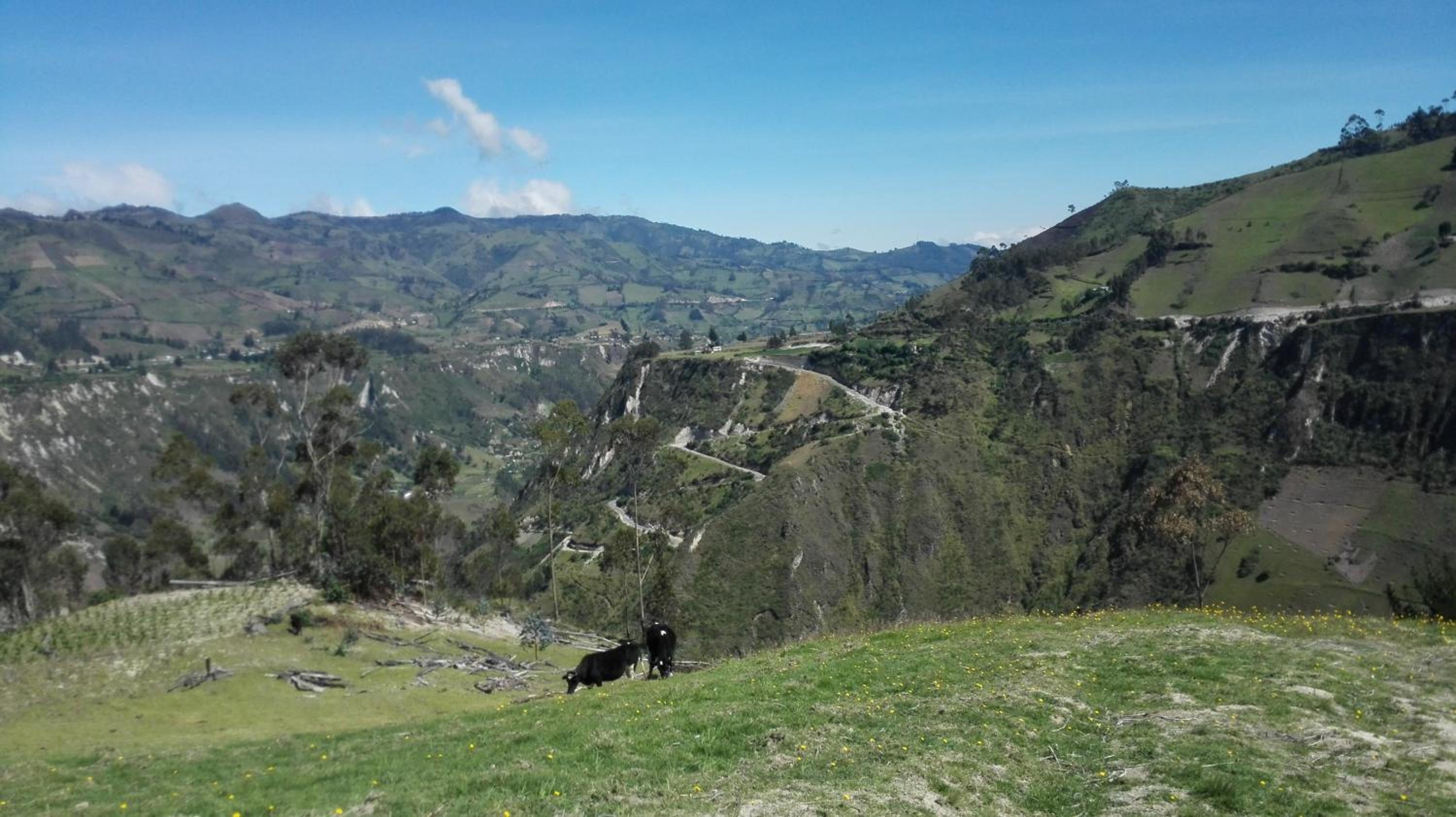 Hostal La Rosita
