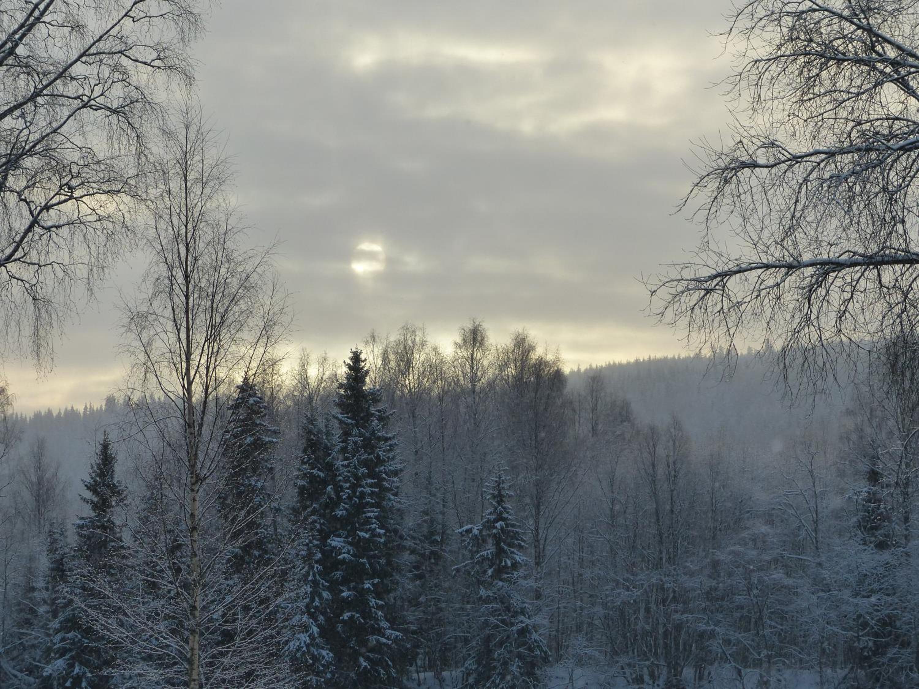 Photo 50