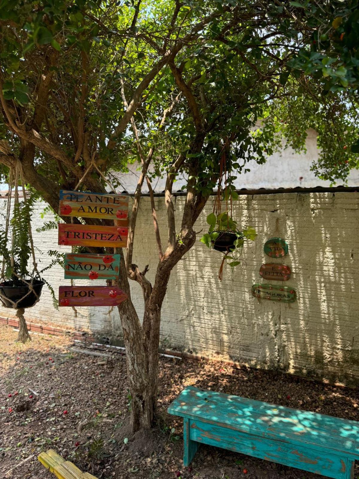 Casa Jardim jabuticabas na fronteira
