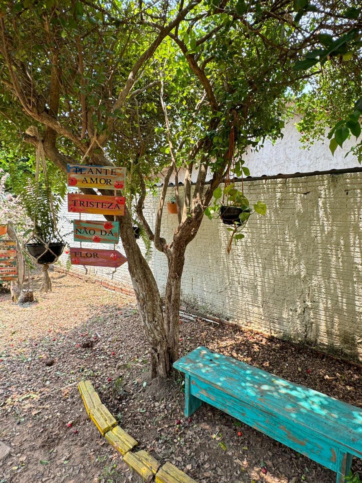 Casa Jardim jabuticabas na fronteira
