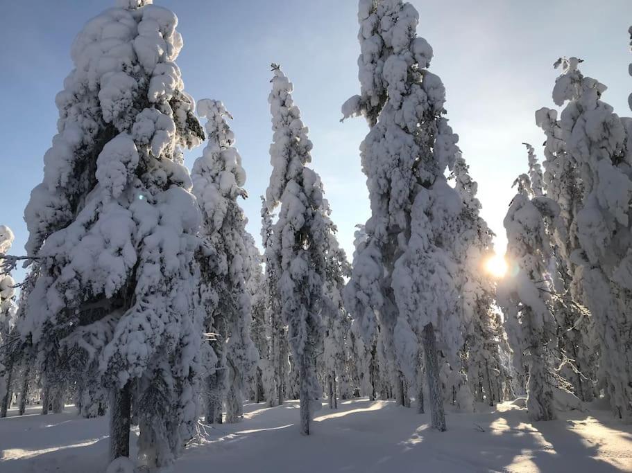 Villa Oitola I Parking I Sauna I Wifi I Lake I Rural I Forest I Ideal for Aurora spotting view 4