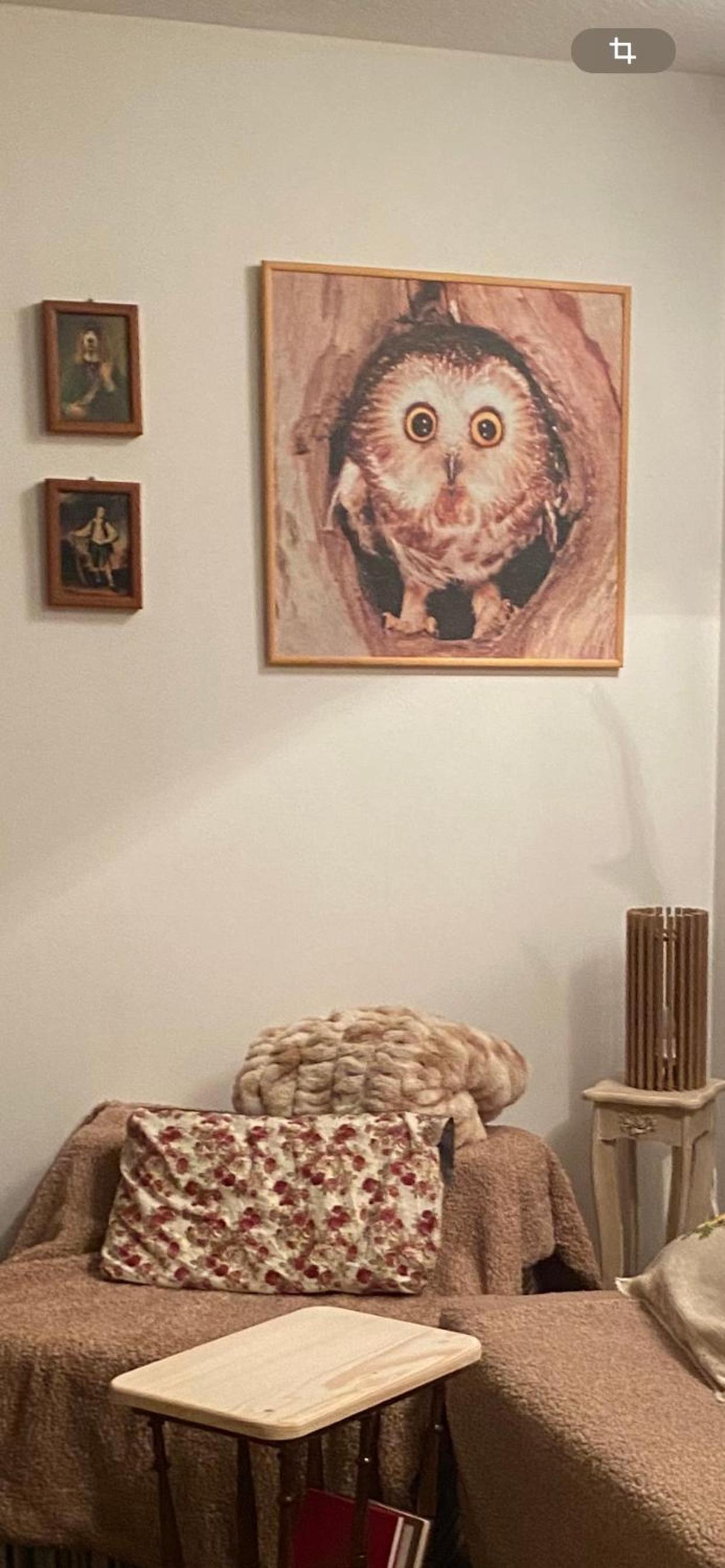 Jozin put -planinska kuća