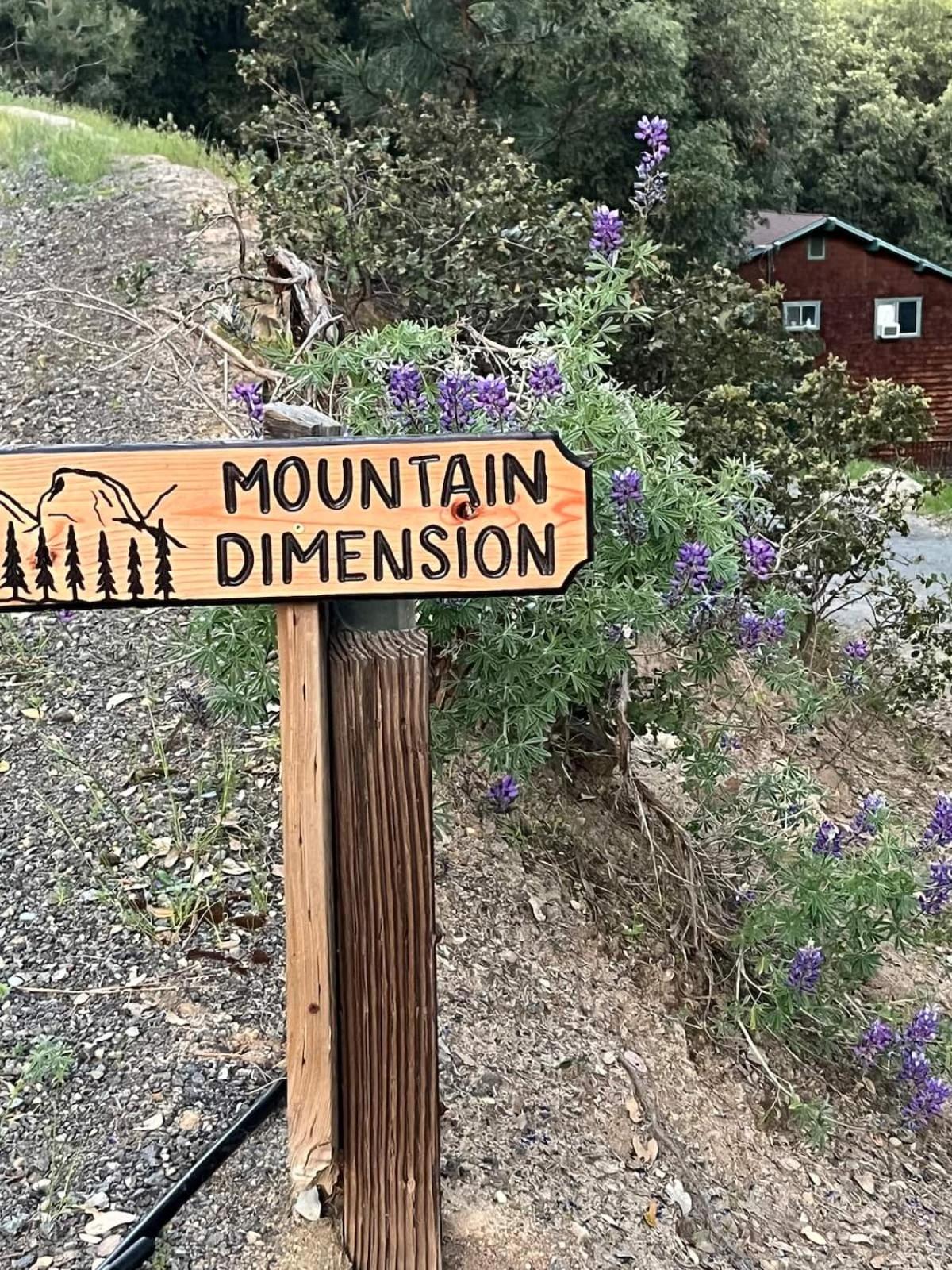 Mountain Dimension view 4
