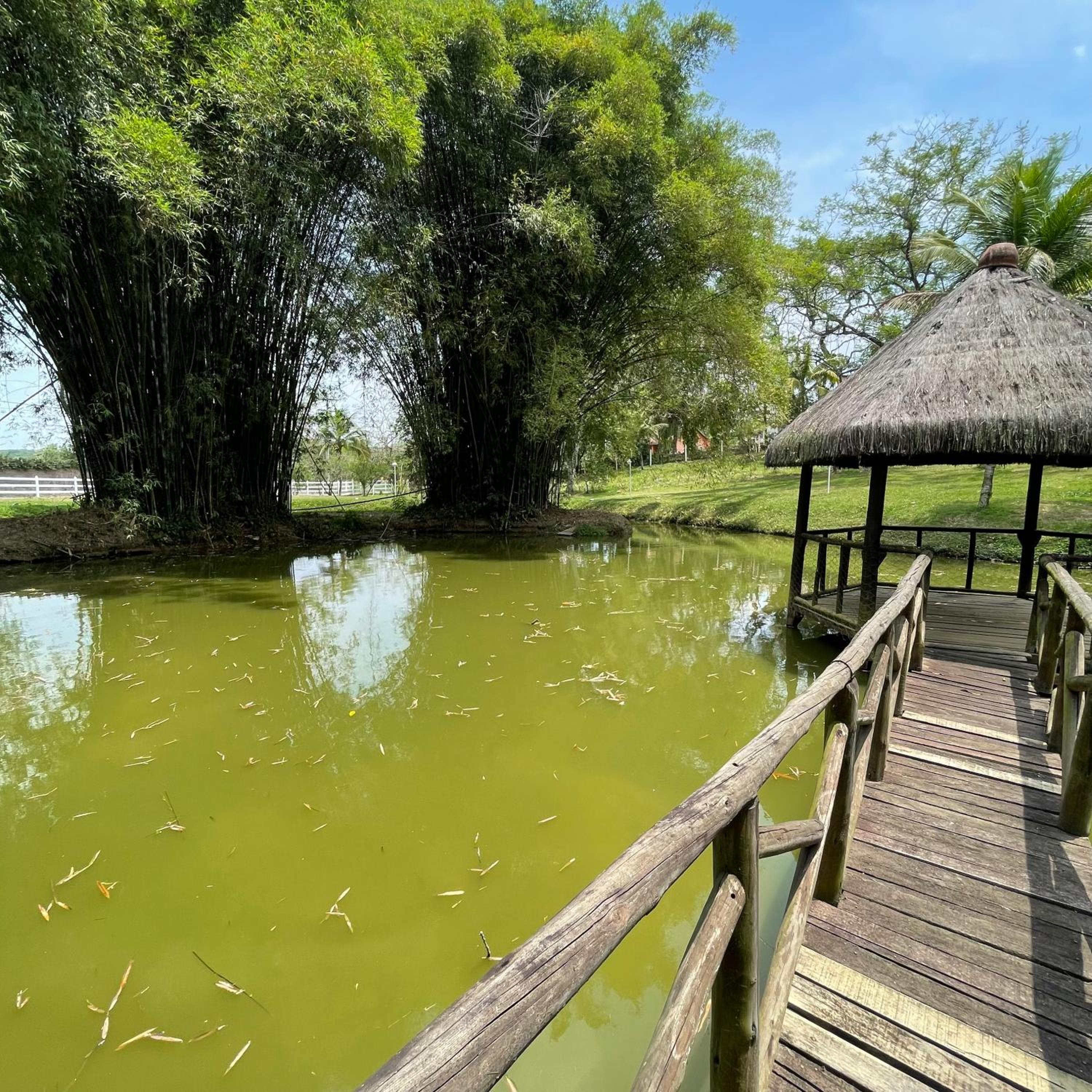 Pousada Sítio Mãe Natureza