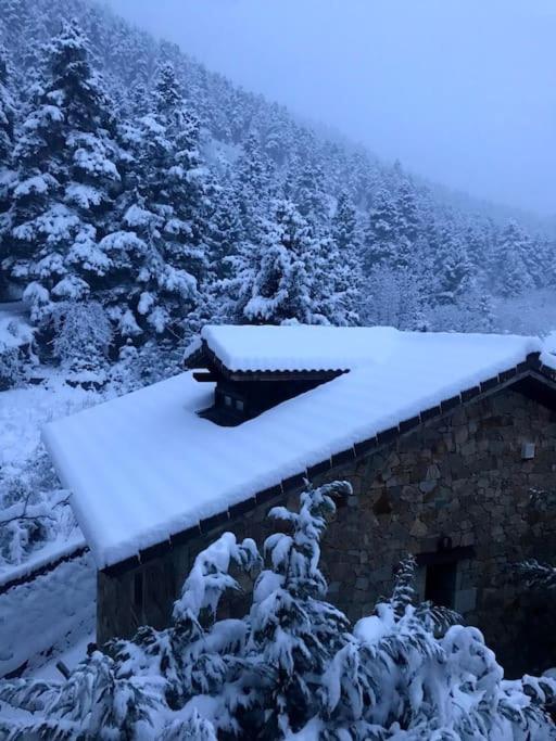 Pinecone Lodge, Eptalofos Wellness Garden Chalet