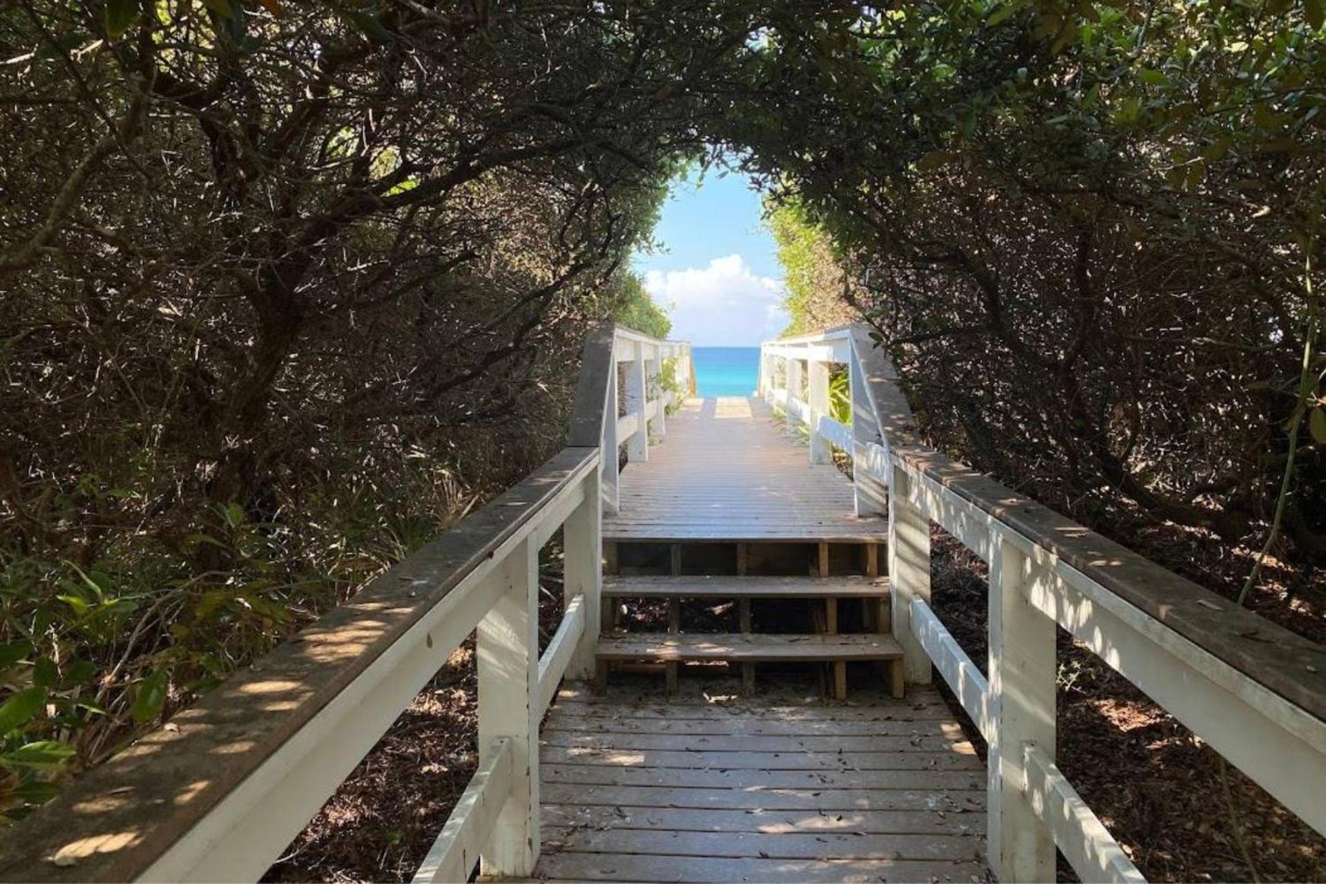 Sonshine by the Sea