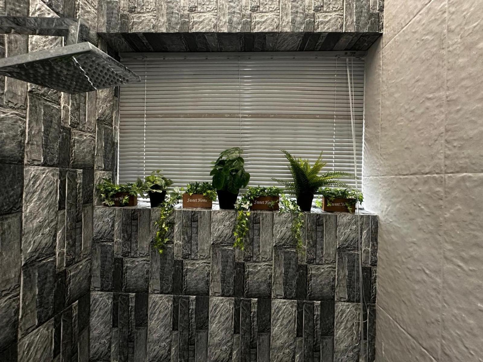 Fully Automated Eco House view 3