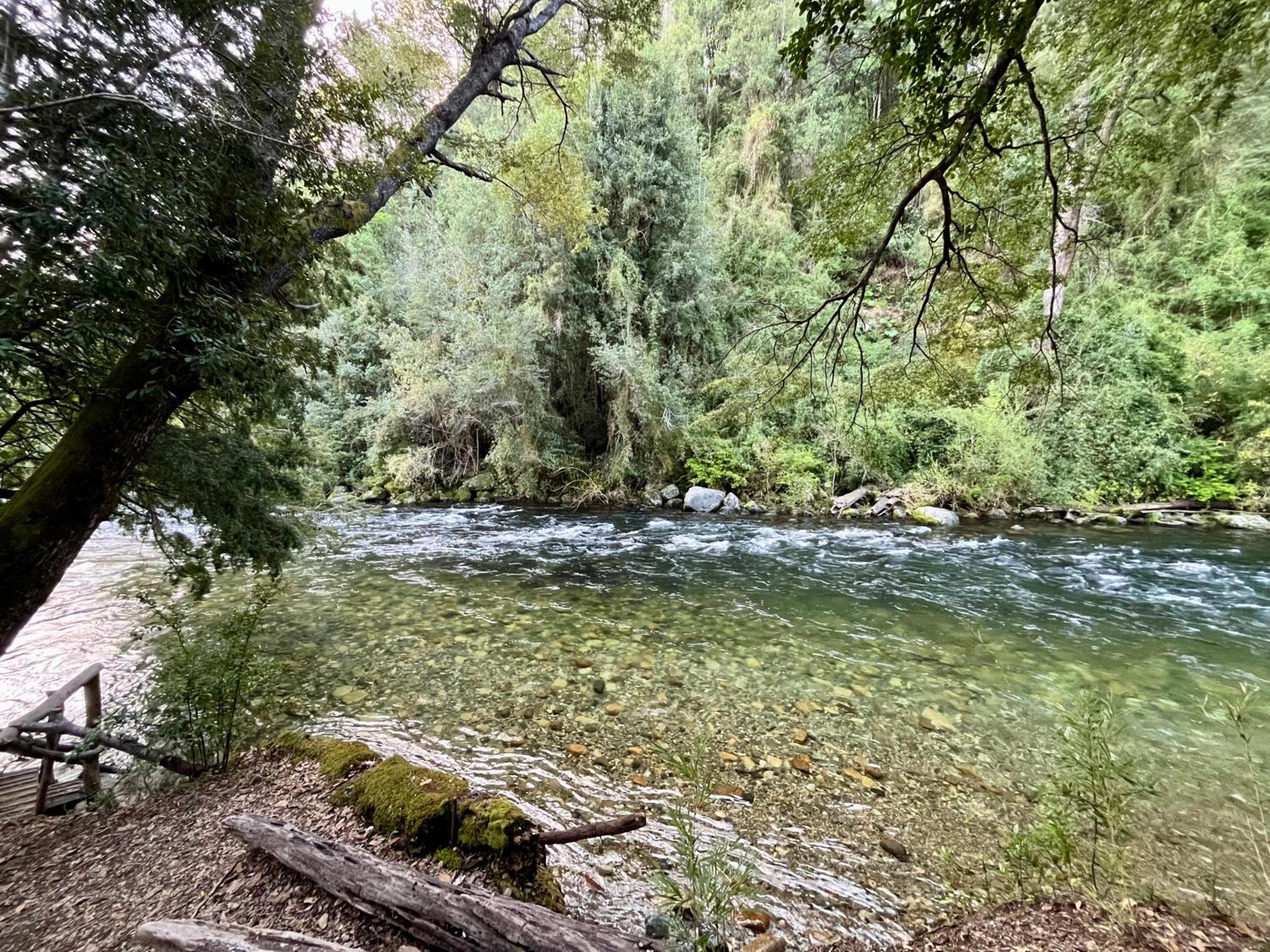 RIO Lodge