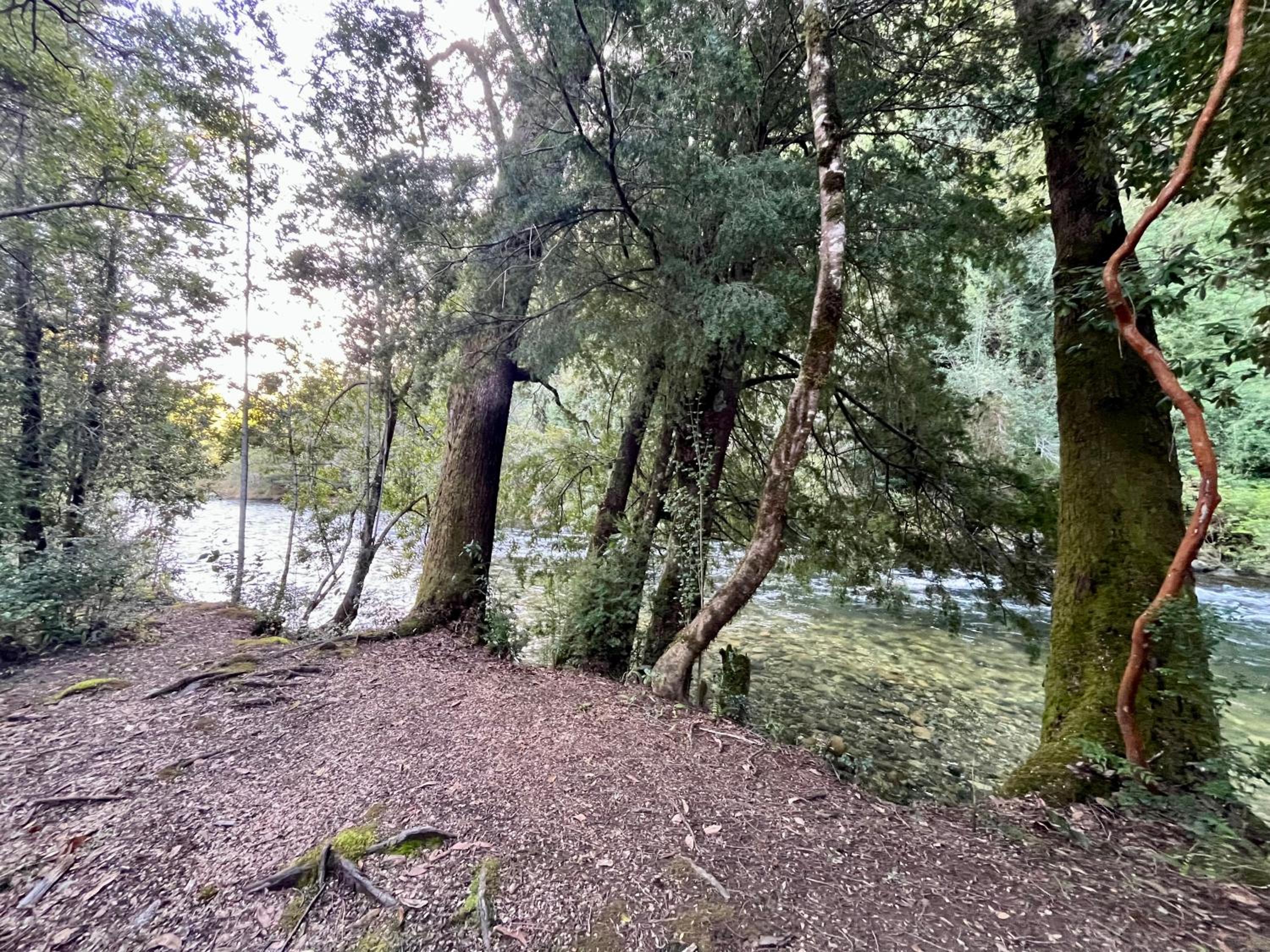 RIO Lodge