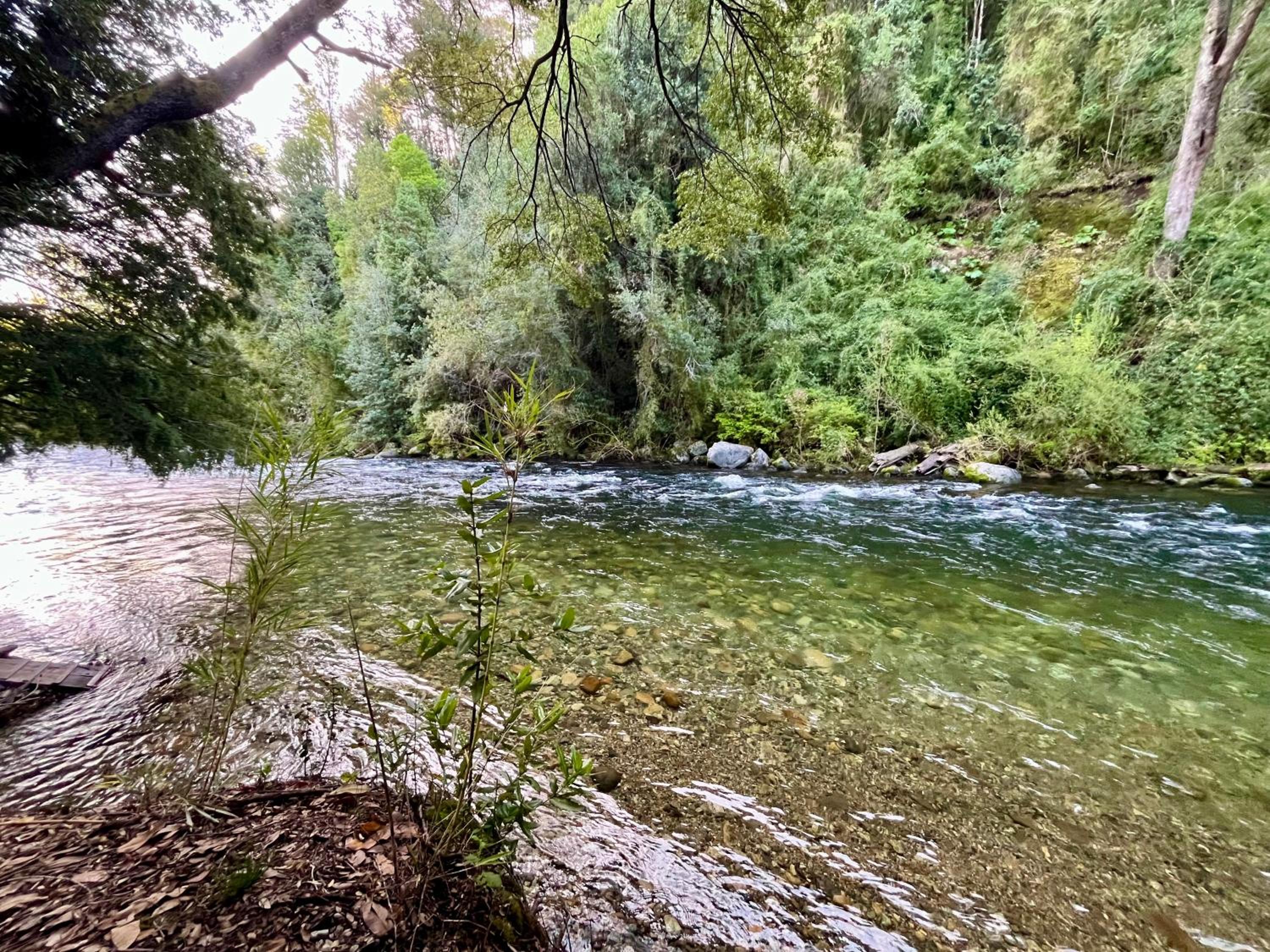 RIO Lodge