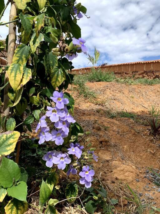 Refugio elegante en Barichara