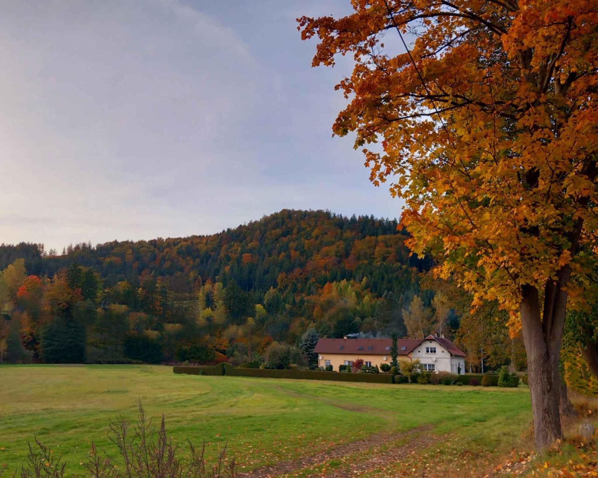 Apartment in Tanvald - Isergebirge 51889