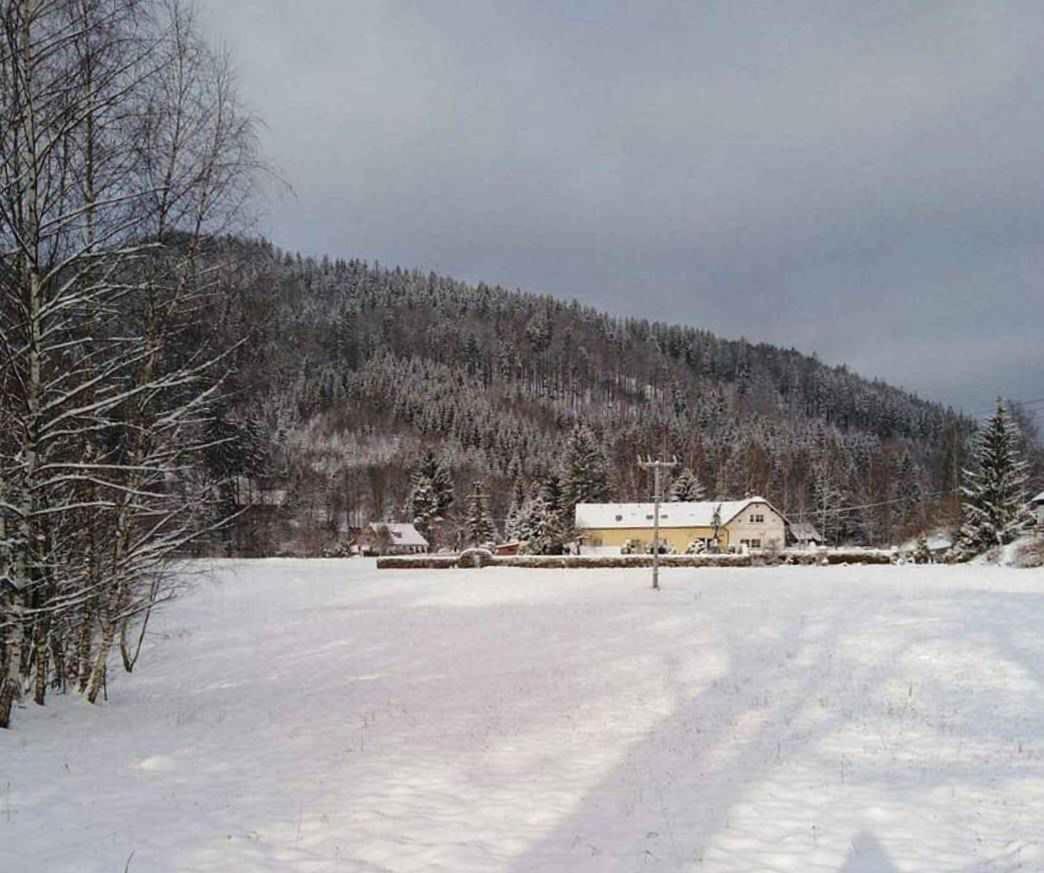 Apartment in Tanvald - Isergebirge 51889