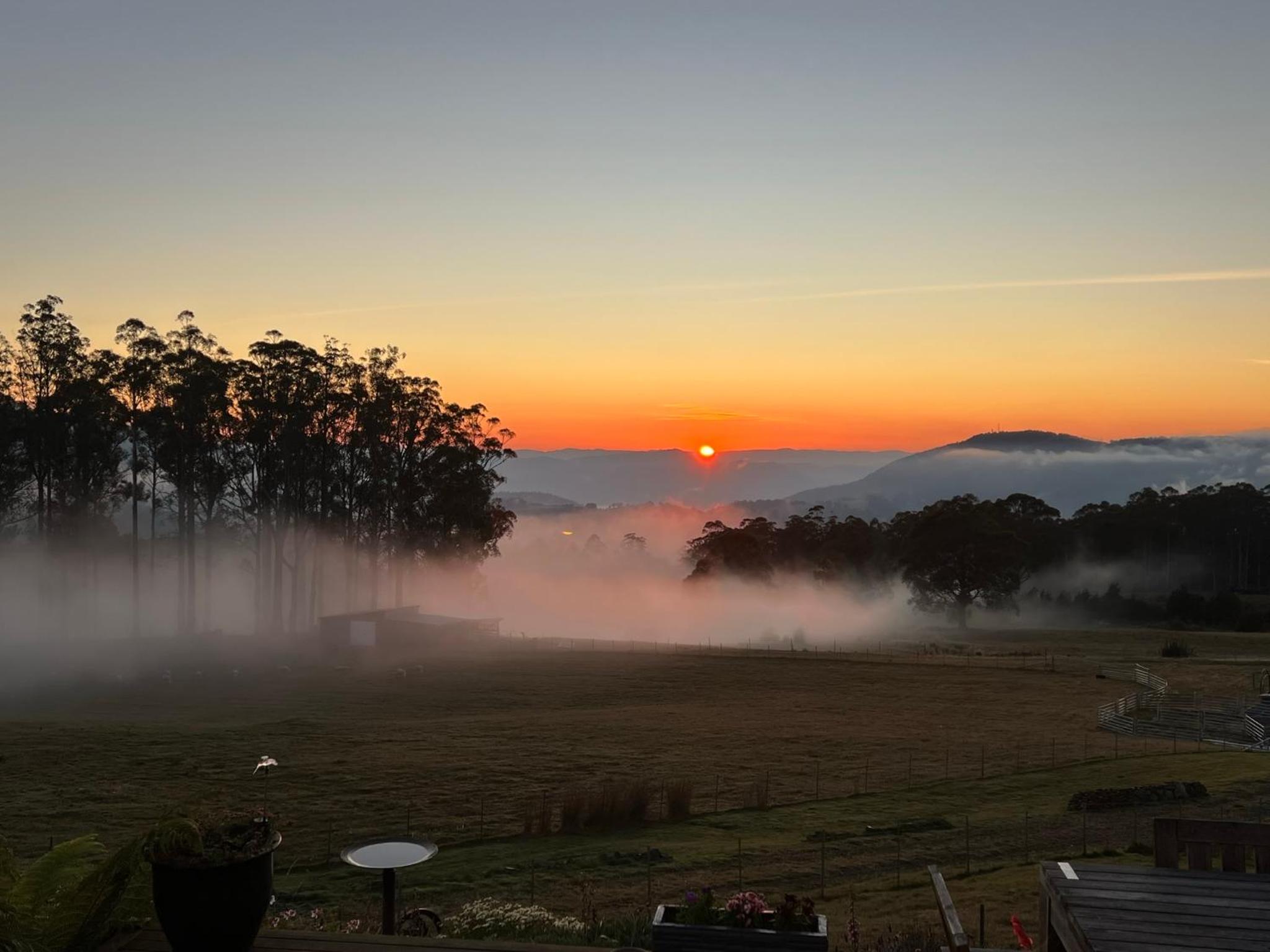 Amaroo with a view set on a 50 Acre Hobby Farm - Property Image 17