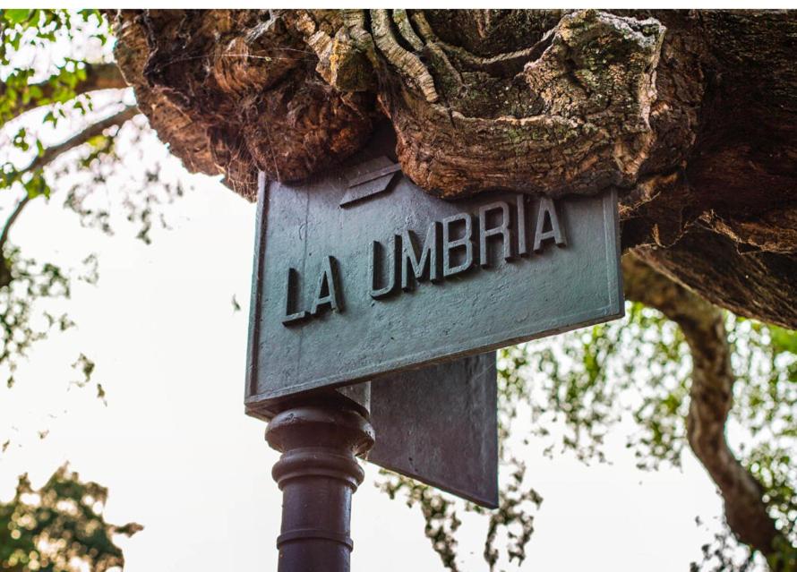 Vivienda Rural Casa Buena Vista