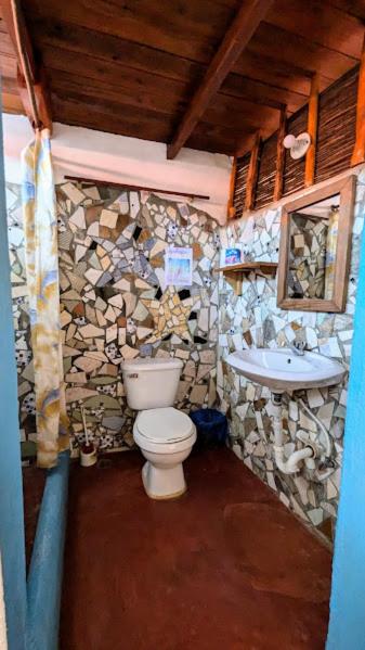 Hostel La Ballena Backpacker